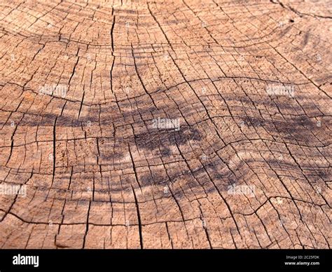 surface marks  res stock photography  images alamy