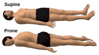 Prone position - Wikiwand articles