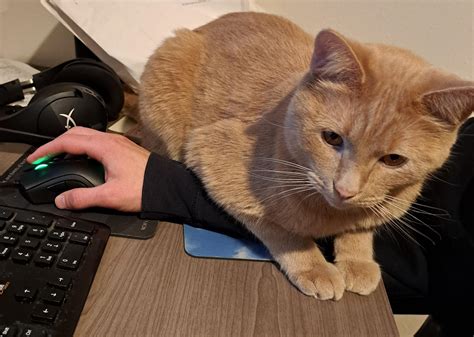 It's fine, I didn't really need to move my hand anyway : r