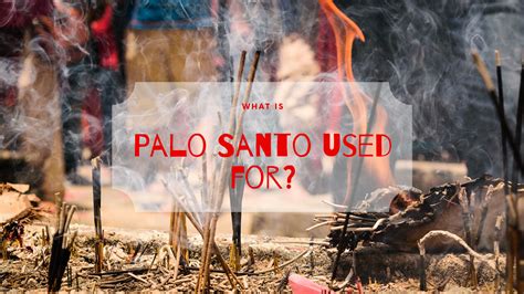 What Is Palo Santo? - Science Trends
