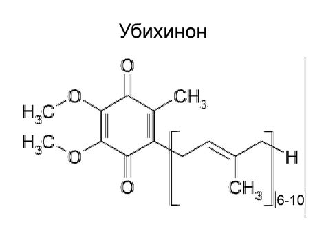 Энергетический обмен. Биологическое окисление - презентация онлайн
