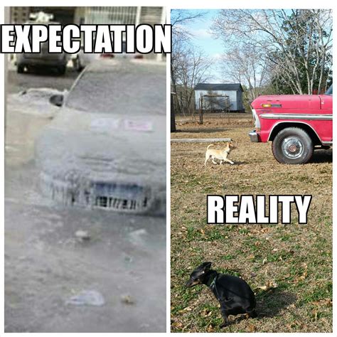 School closings in Georgia over bad weather that doesn't exist. : r/mildlyinfuriating
