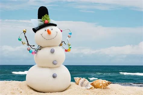 Winter Vacation — Stock Photo © karenr #6295560