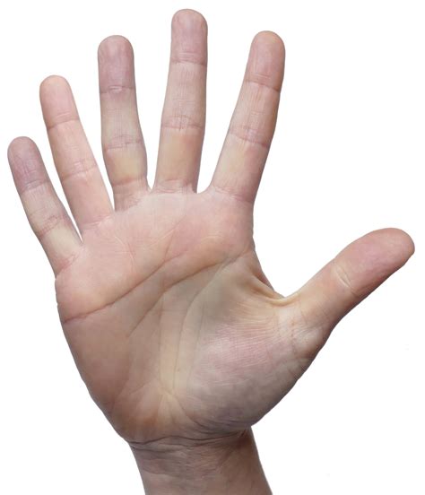 Finger