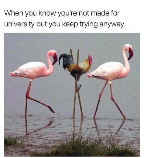 Fake it until you make it - Meme by Akane420 :) Memedroid