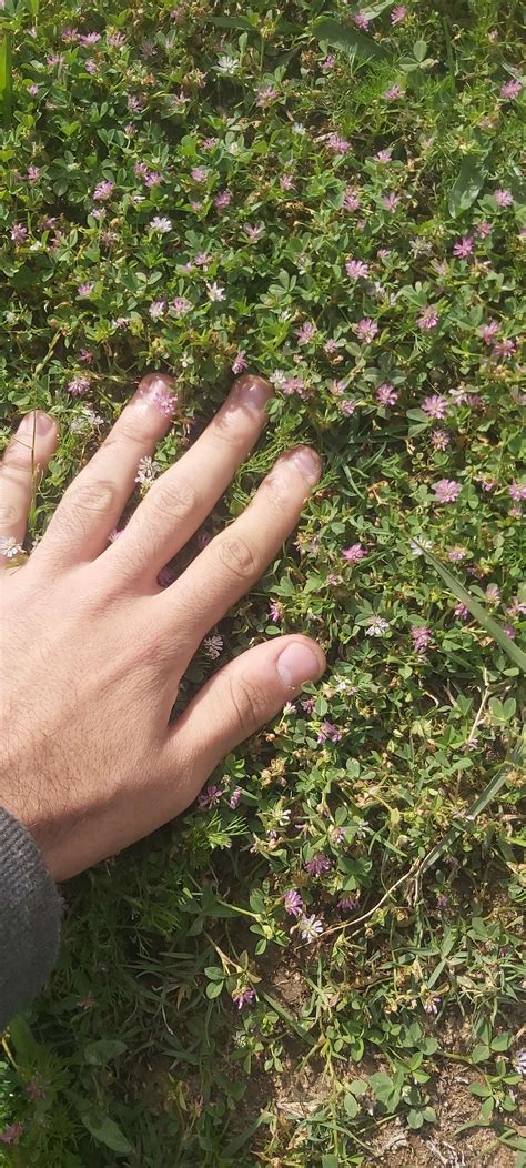 I FOUND THE GRASS : r/PotasticP