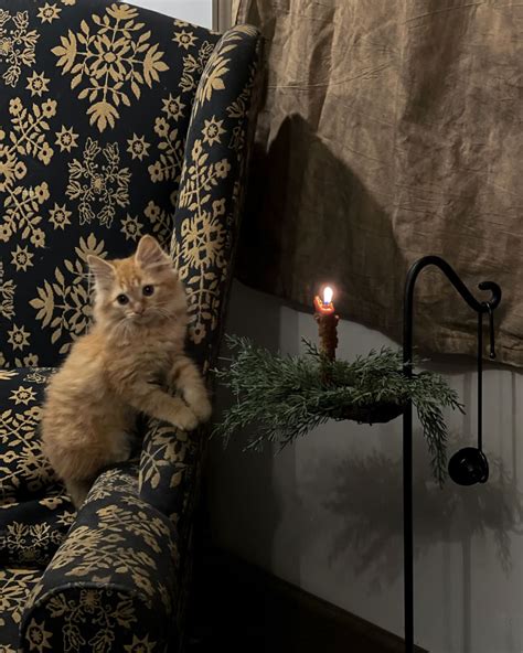 Jozy Casteel | Happy Wednesday friends! We have a snowstorm moving our