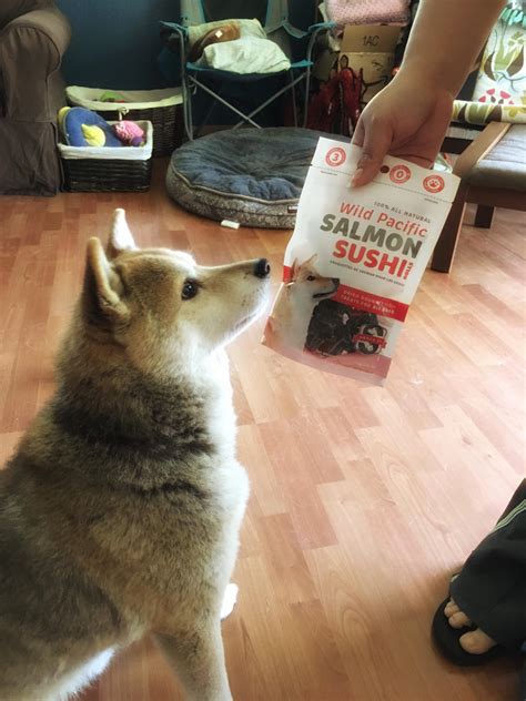 Understanding the philosophy of jiro and his apprentices 24