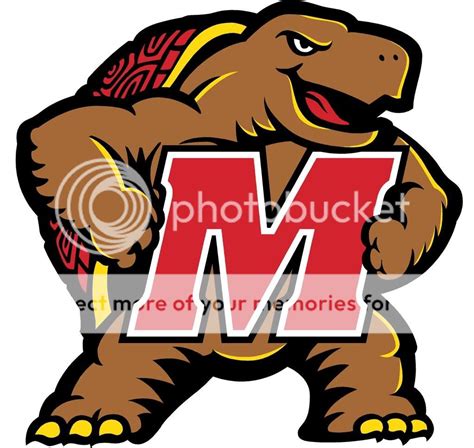 Maryland Terrapins - JungleKey.fr Wiki