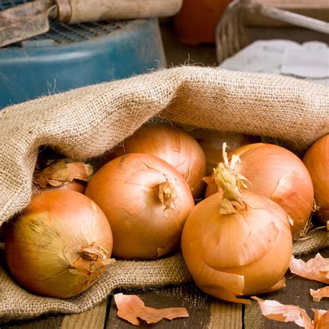 how long to onions last