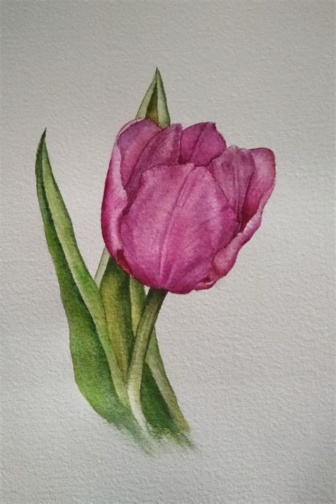 тюльпан акварелью in 2024 | Watercolor flowers, Watercolor paintings ...