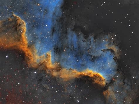 cygnus wall astrophotography