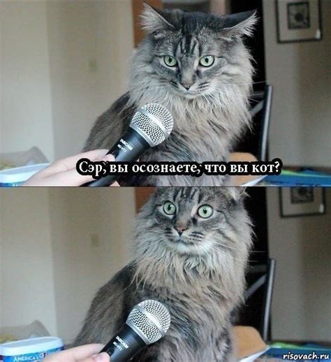 Картинки Котэ - Рисовач .Ру