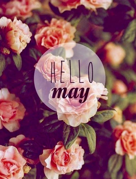 Rachel Aziani (@rachelaziani) / Twitter