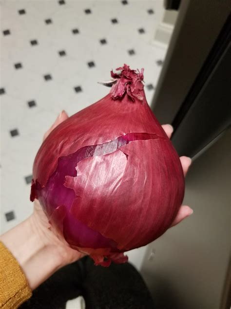 3162 best Red Onion images on Pholder | Eatsandwiches, Food and Food Porn