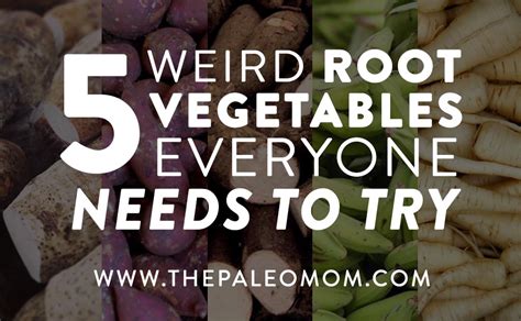 5 Weird Root Vegetables Everyone Needs to Try - The Paleo Mom