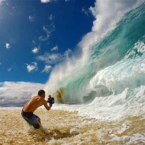 camera captures    perfect moment  pics