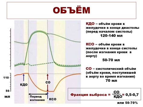 Регуляция сердечной деятельности. Лекция 2 - презентация онлайн