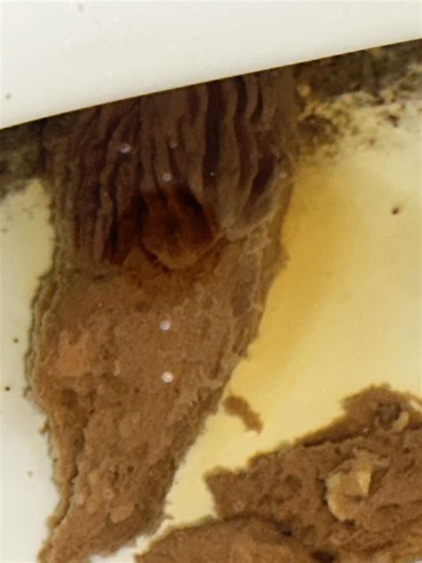 My poop has grooves in the surface. What the hell is this? : r/poop