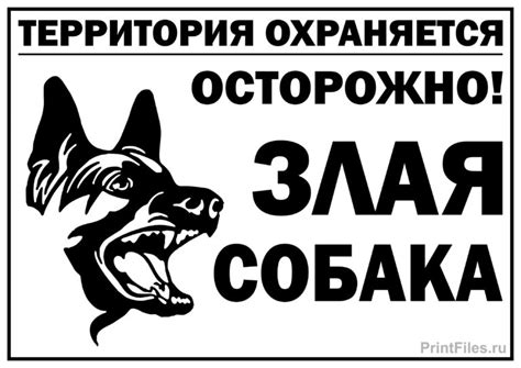 Таблички "Злая собака" в хорошем качестве | Файлы для распечатки