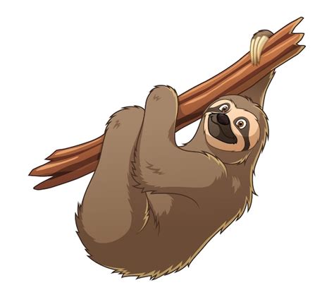 Premium Vector | Sloth Cartoon Animal Illustration