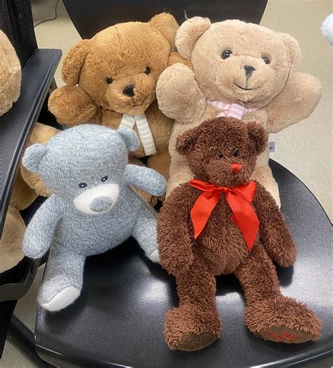 PHS students collect teddy bears for Ukraine - Gig Harbor Now | A