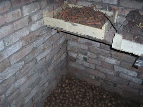 Погреб