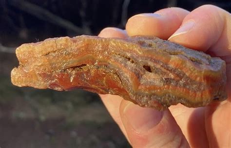 My first agates found in North Carolina, Only two, but they’re ...