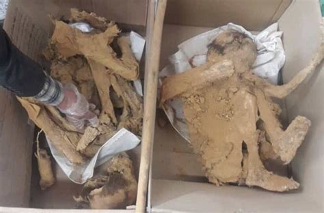 Newly-found human skeletons are ‘natural mummies’ - Tehran Times