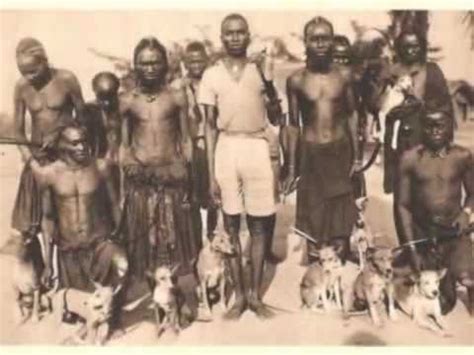 Basenjis in Africa - YouTube