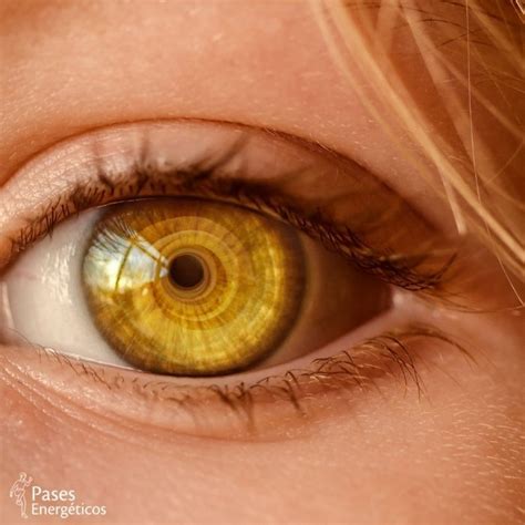 Tres técnicas de observación de Taisha Abelar