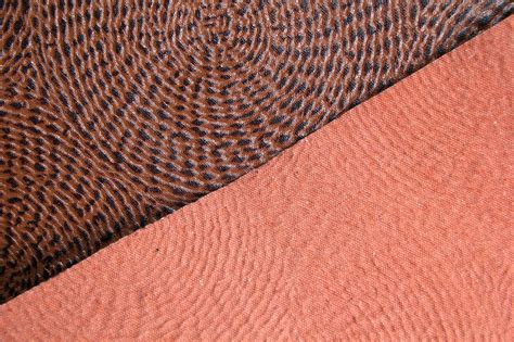 toxic leather substitute  rise  bioleather accessories