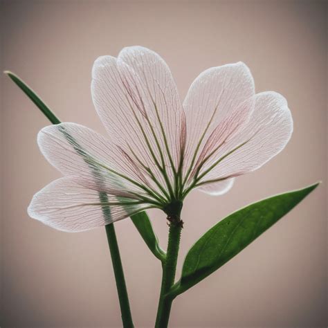 New green spaces are being planned for the end of W 49th St 8