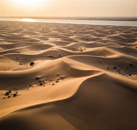 decoding   area code  guide  americans