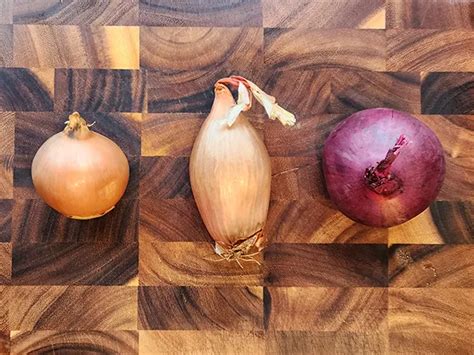 How To Cut Onions Like A Pro Chef: 10 Great Ways | Xeniasbites.com