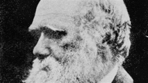 Scientists ‘prove Darwin’s survival of the fittest theory’