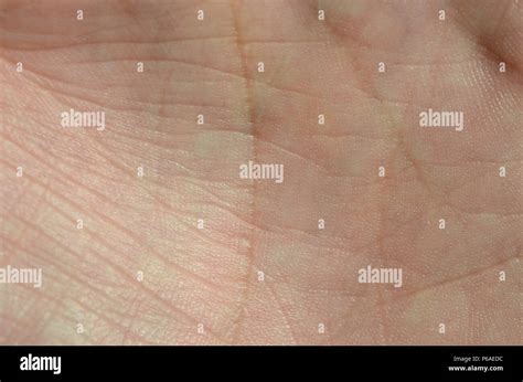 close   human hand skin  visible skin texture  lines stock