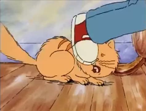 sound ideas cat domestic  angry snarls hisses animalimage