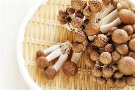 "Shimeji Mushroom" Images – Browse 1,620 Stock Photos, Vectors, and ...