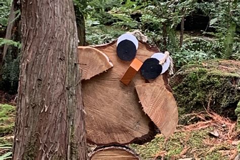 Have a Hoot Hunt - Bloedel Reserve