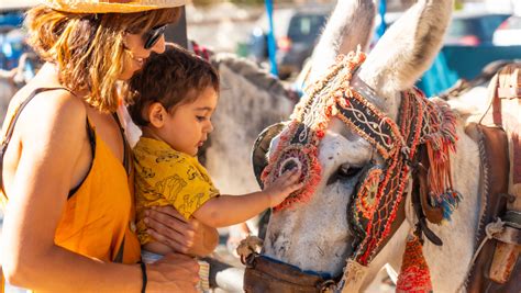 Cultural Immersion Travel: Experience The World Like A Local