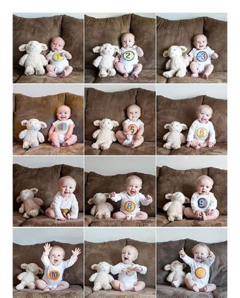 Cute Monthly Baby Picture Ideas - Baby Viewer