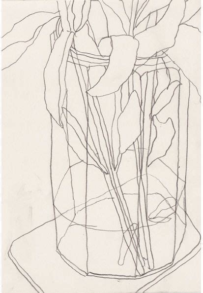 contour  drawing images  pinterest outline drawings