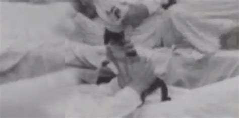 Cat Putter Outers Competition (1938) - Cinema Cats