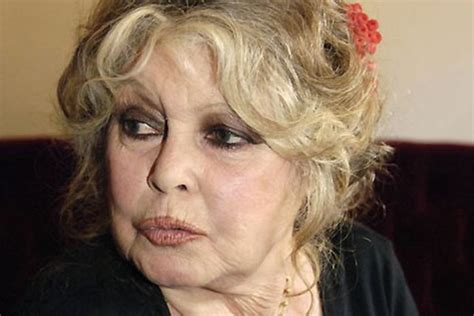 Brigitte Bardot Getting Older (16 pics) - Picture #14 - Izismile.com