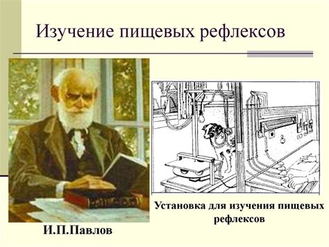 Пищеварение в желудке - презентация онлайн