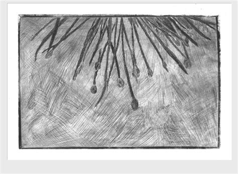 dry point etching  behance