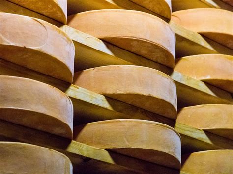 fontina cheese  versatile cheese  elevates  dish  budget