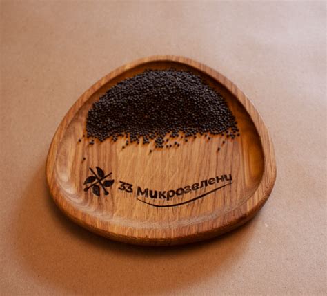 Пак-чой (бок-чой) семена микрозелени купить в интернет-магазине 33 ...