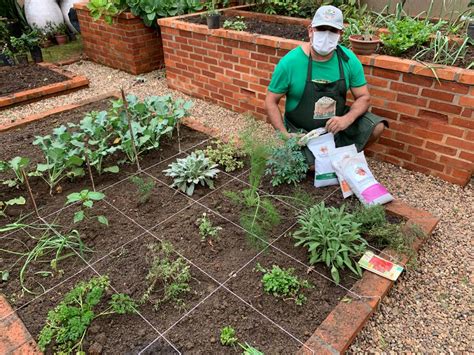 Como Fazer Um Horta - Como fazer uma horta orgânica | Blog do Jardineiro Amador